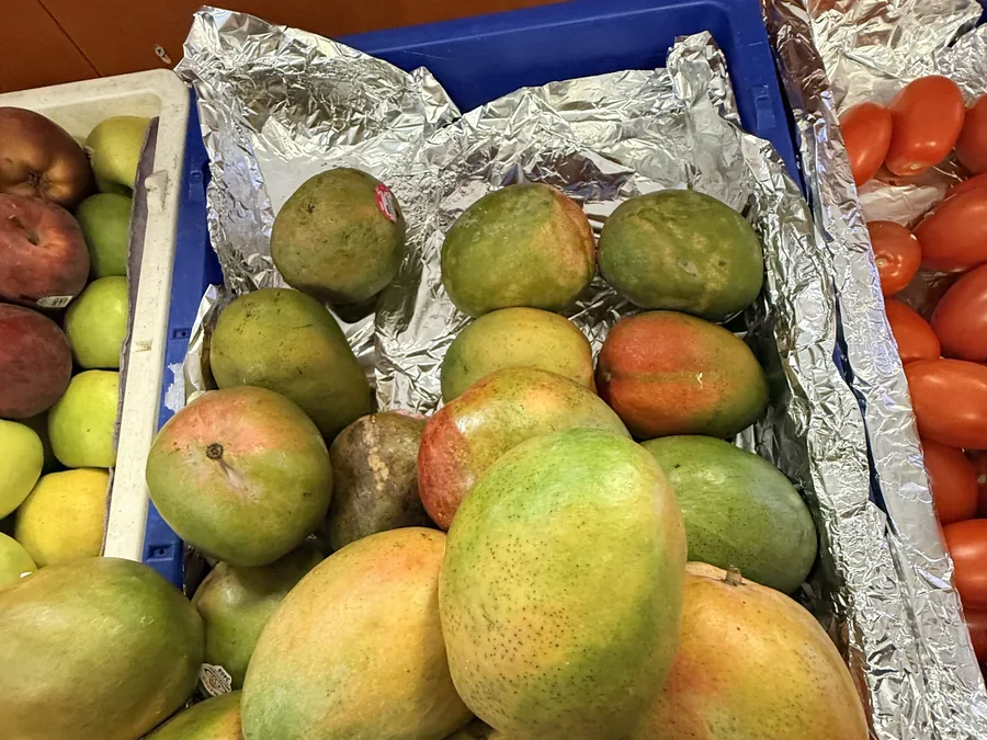 Fruta de temporada: mango, papaya, coco, piña y plátano